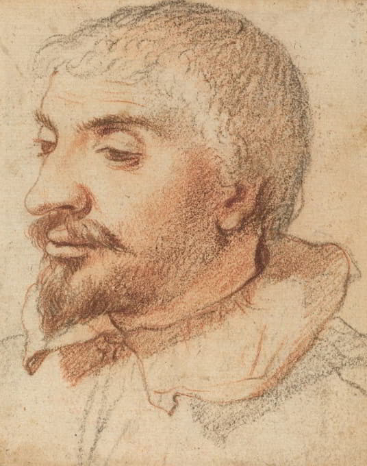 Italian 17th Century - Head of a Man