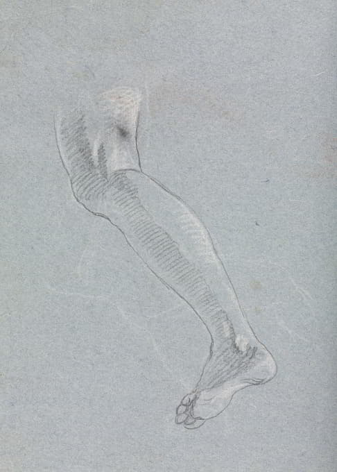 Francesco Lorenzi - Verona Sketchbook: Left leg (page 28)