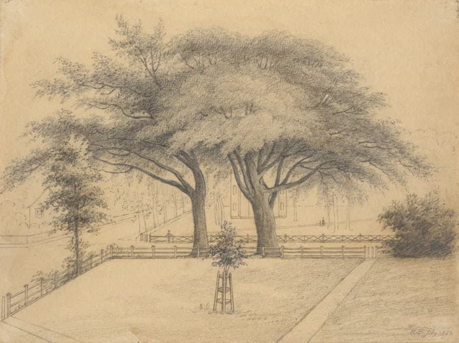 R. Bakewell - The Trees and Lawn at College and Elm Streets, New Haven