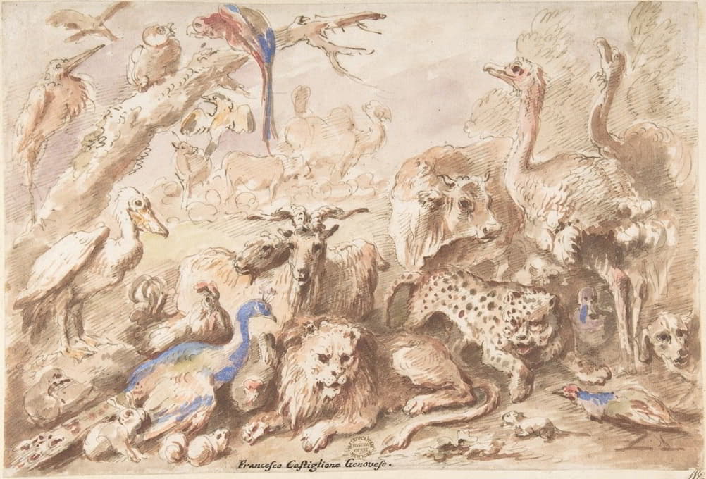 Giovanni Francesco Castiglione - A Congress of Animals
