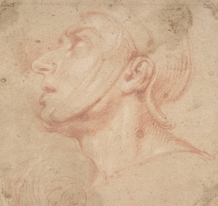 Francesco di Maria - Head of a Man Wearing a Helmet, Looking to Upper Left