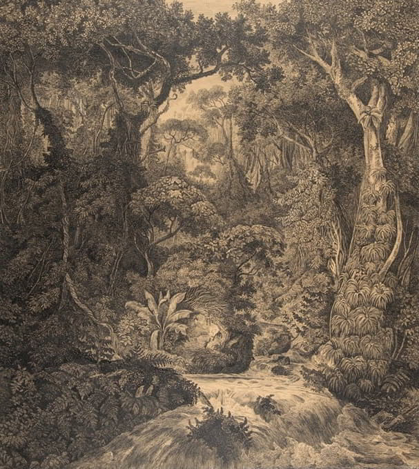 Hermann von Königsbrunn - Ceylonese Jungle