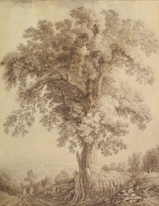 Jakob Philipp Hackert - A Large Tree at Albano