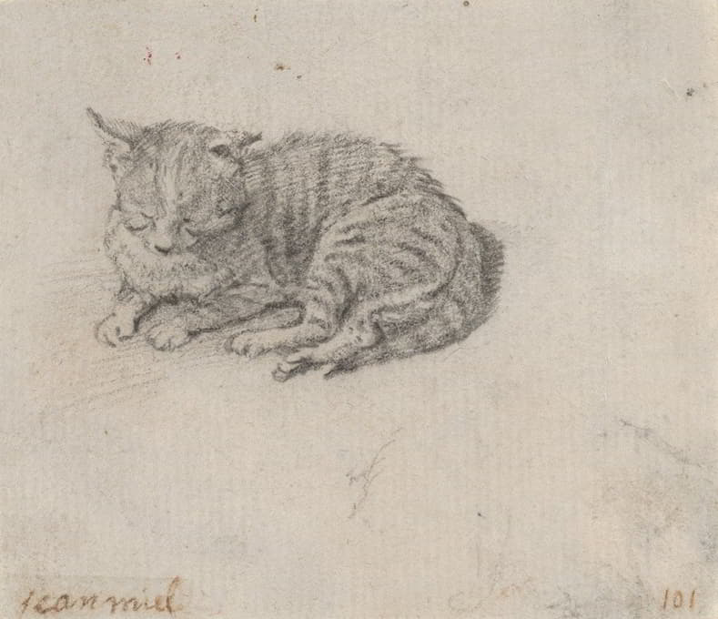 Jan Miel - Study of a Sleeping Cat