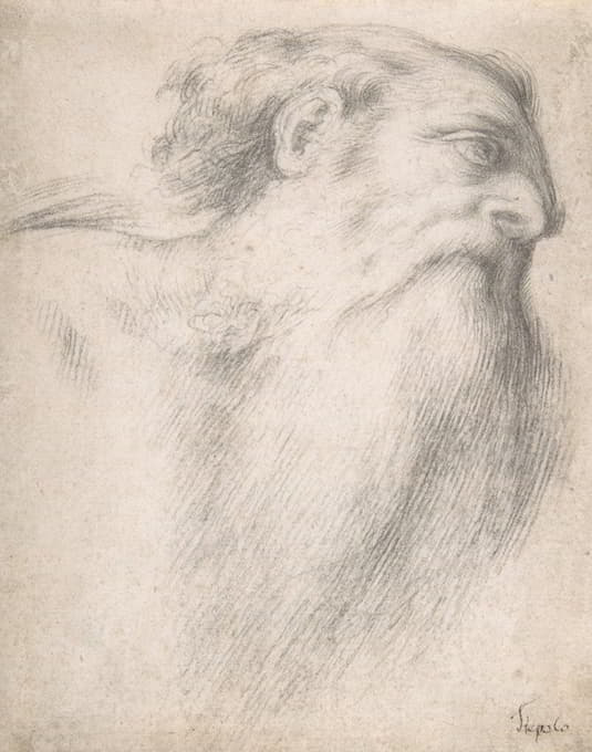 Lorenzo Lotto - Head of a Bearded Man