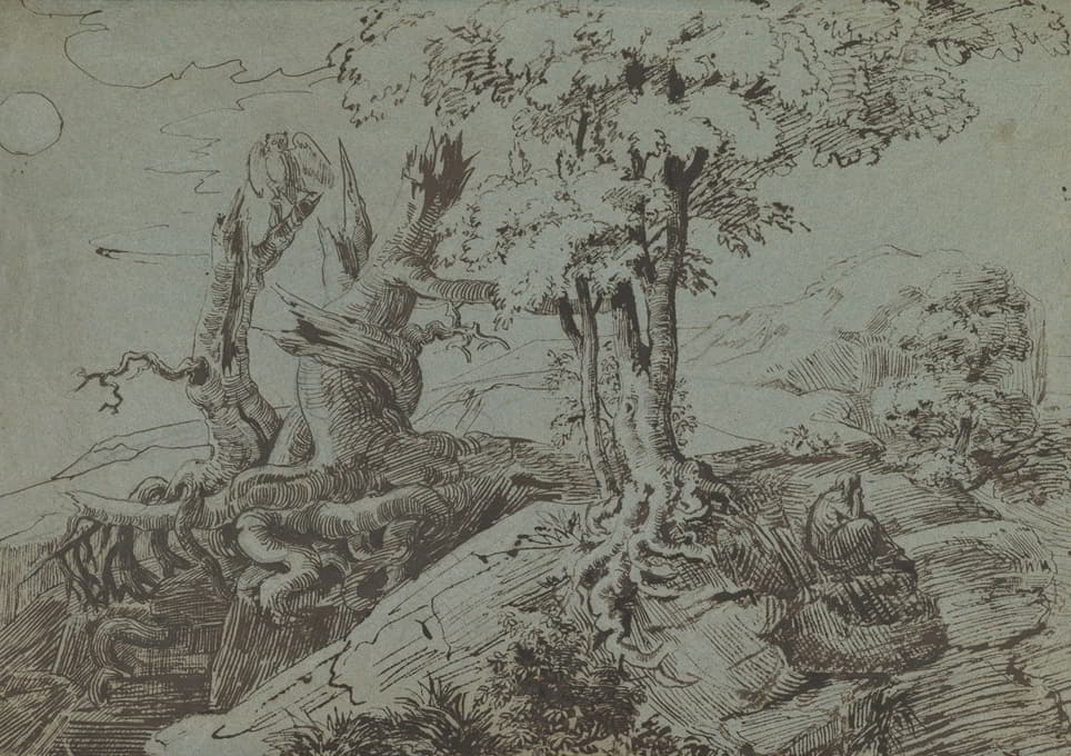 崎岖的月光下，一个女人坐在参差不齐的树根旁，还有一只猫头鹰