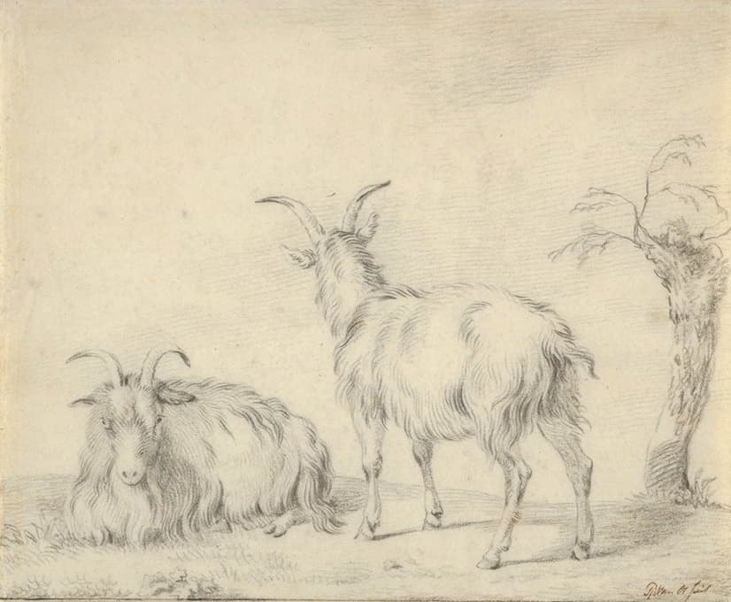 一只站着的山羊和一只躺着的山羊靠近一棵小树