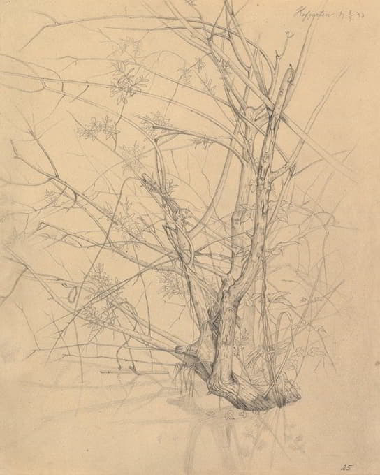 Johann Wilhelm Preyer - Study of a Tree Standing in Water in the Düsseldorf Hofgarten