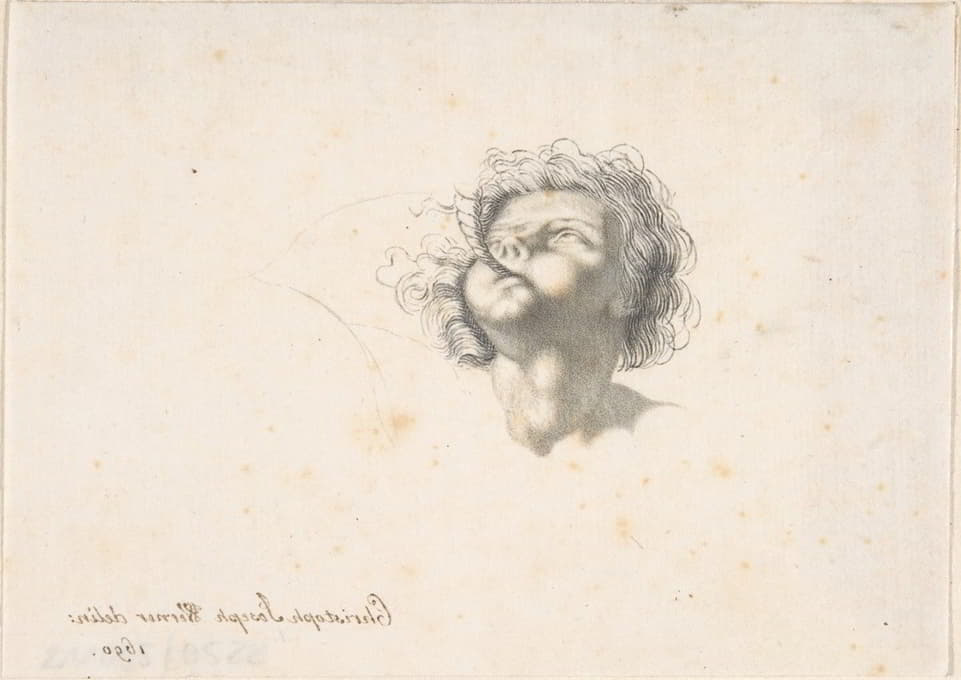 Christoph Joseph Werner - Head of a Putto