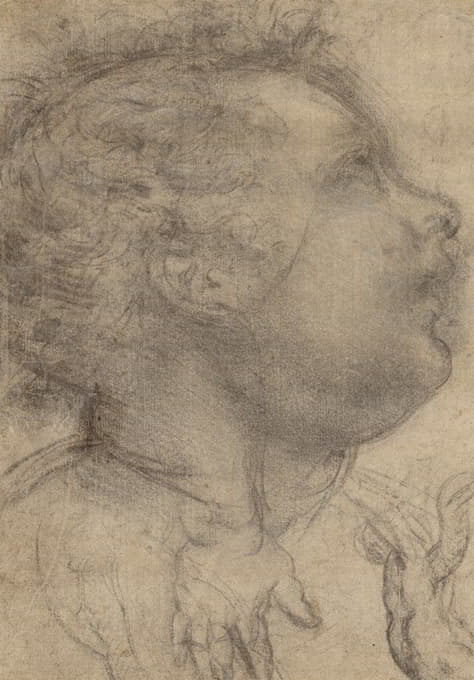 Fra Bartolomeo - Head of a Child, an Angel and a Hand