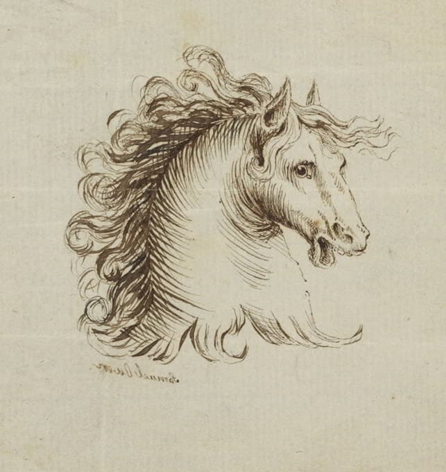Samuel H. Owen - Head of a Horse