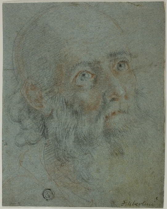一个留胡子的人的头，抬头看向右边；亚历山大的圣凯瑟琳与异教徒牧师争论的习作