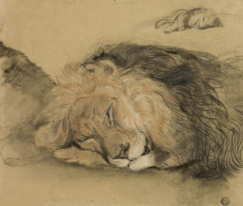 狮子头和狮子素描