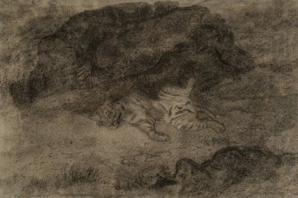 一只老虎趴在岩石中间