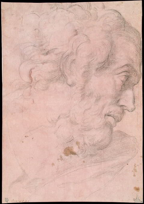 Giovanni Angelo Canini - Head of A Bearded Man