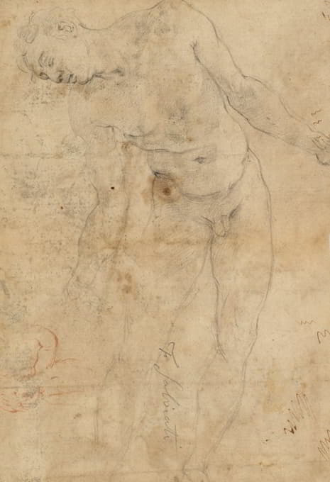 Prospero Fontana - Study of a nude male youth, and a small study of a putto