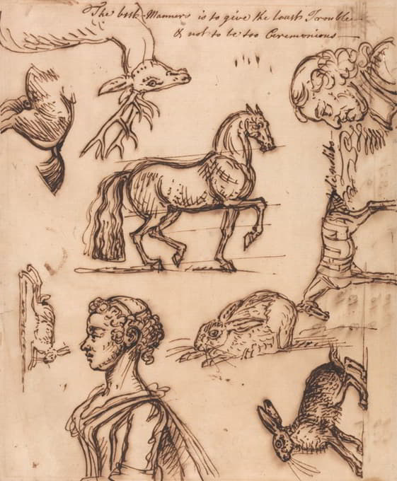 野兔、马、牡鹿、男人和女人的素描