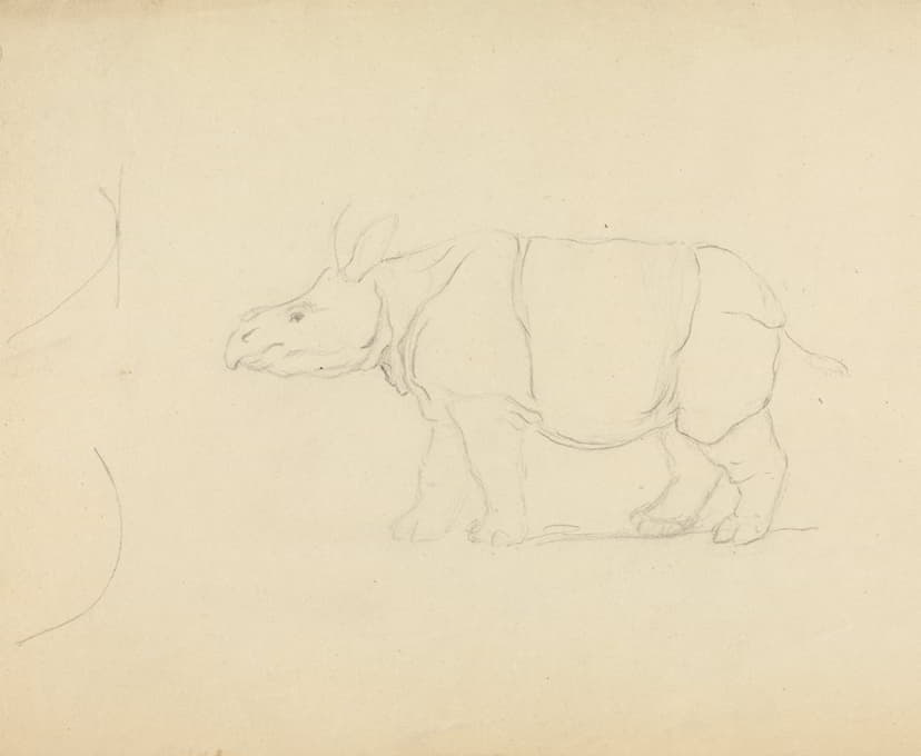 James Sowerby - A Rhinoceros