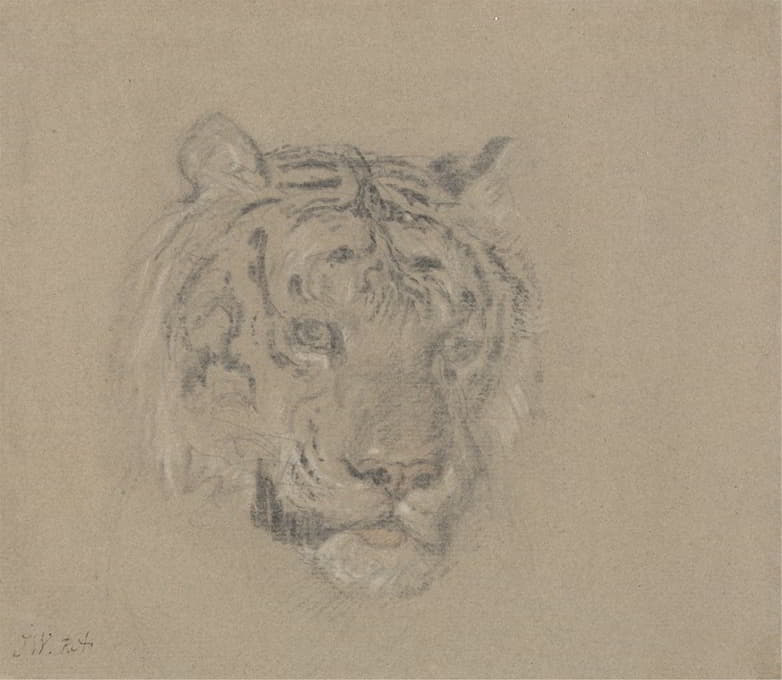 James Ward - Head of a Tiger