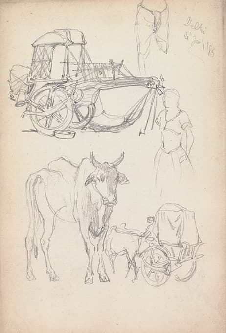 牛车研究，德里，1860年1月14日