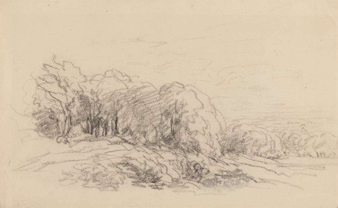 David Cox - Landscape with Trees