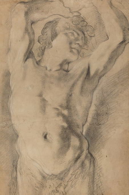 Domenico Maria Canuti - Male herm