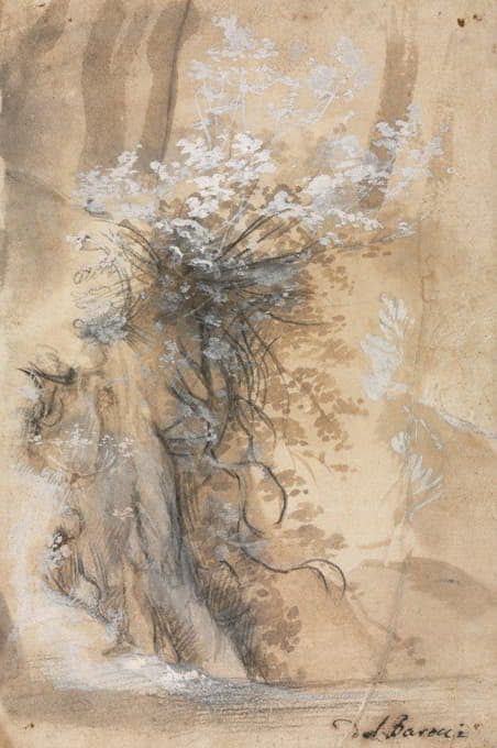 Federico Barocci - Flowering Bush above an Eroded Bank