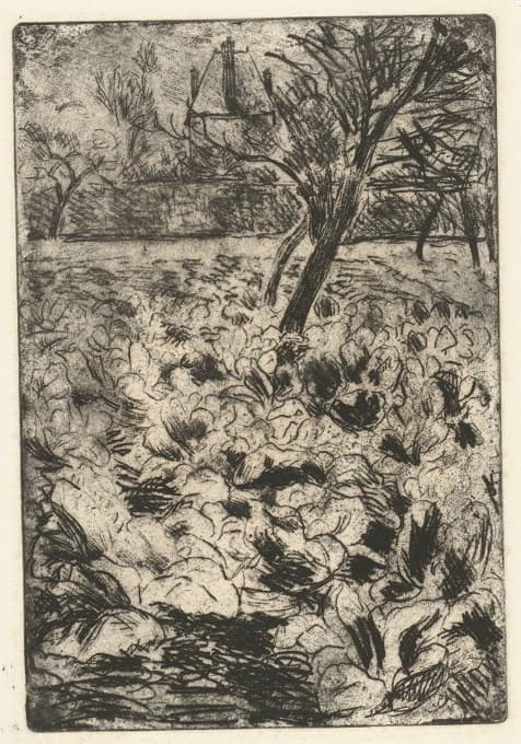Camille Pissarro - Het knollenveld