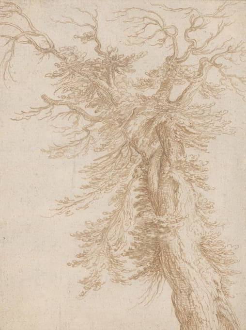 Jacob de Gheyn II - Study of a Tree