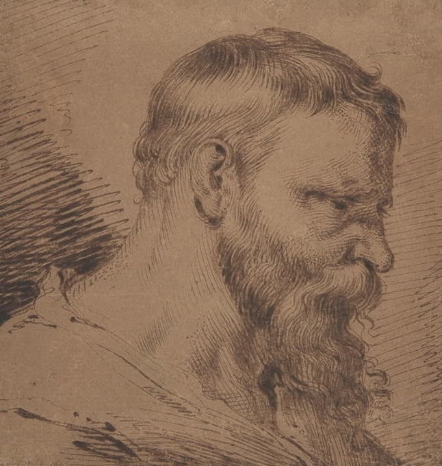 Jacques de Gheyn, III - Bearded Head, Looking Down to the Right