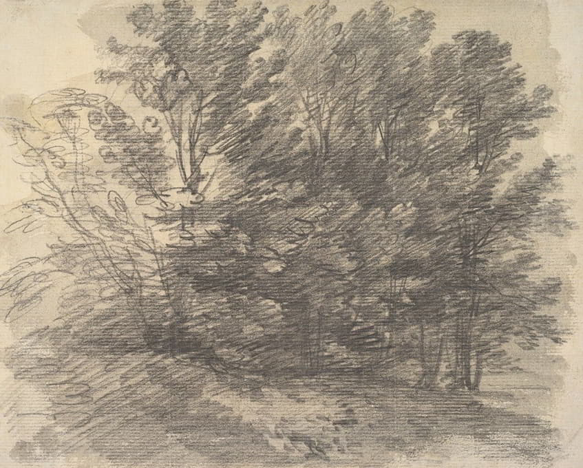 Thomas Gainsborough - A Clump of Trees