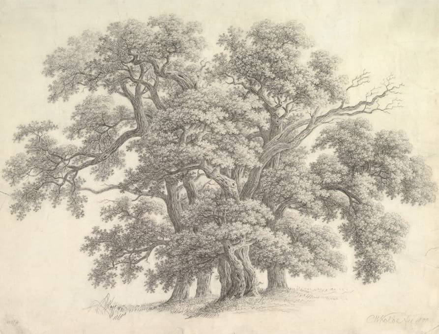 Carl Wilhelm Kolbe the elder - Study of Oak Trees