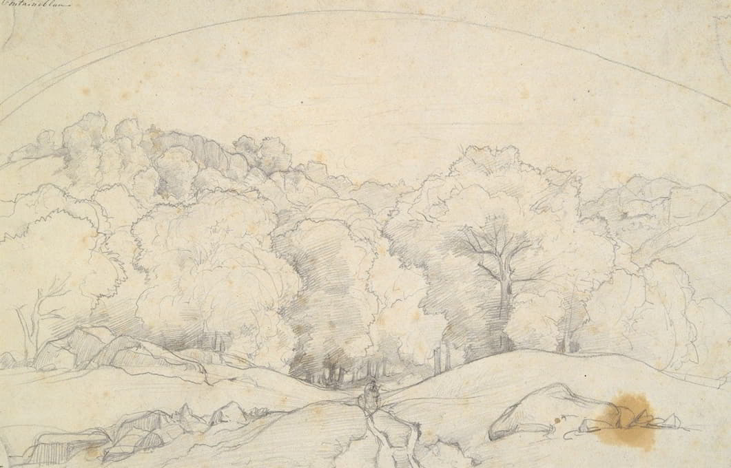 François Edouard Bertin - Forest of Fontainebleau (Rideau d’arbres et chemin en foret de Fontainebleau)