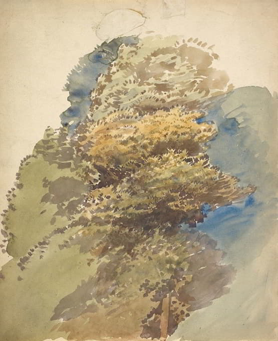 George Richmond - Study of a Tree