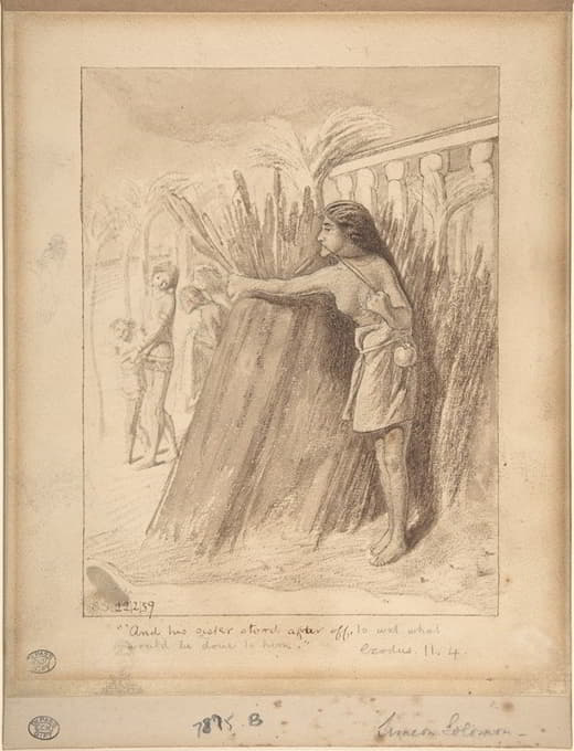 2月22日，米里亚姆在芦苇丛中观察摩西的发现