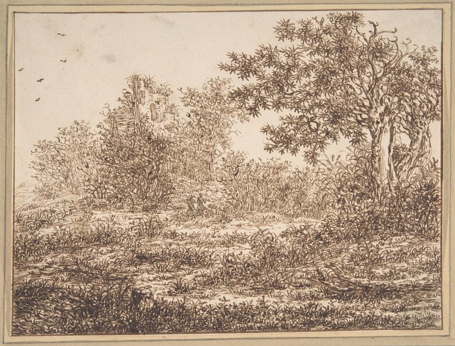 Adriaen Hendriksz. Verboom - Dune Landscape with Trees