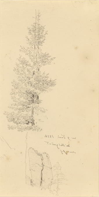 Caspar David Friedrich - Study of Pine Trees and a Rock