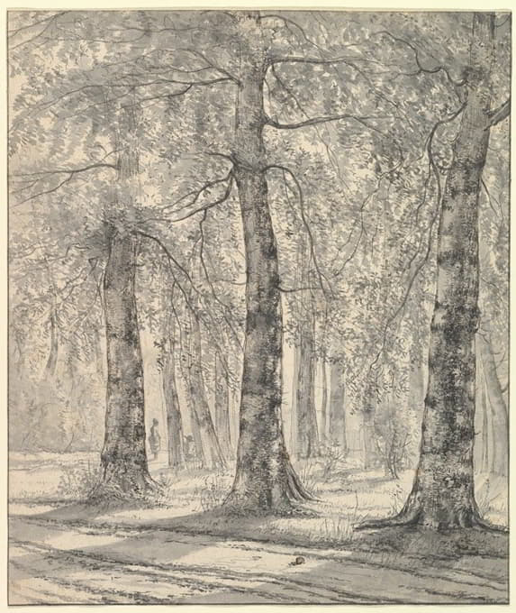 Pieter George Westenberg - Woodland Scene