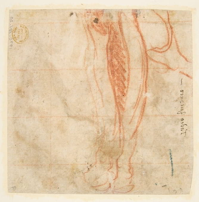 Taddeo Zuccaro - Sketch of a Leg