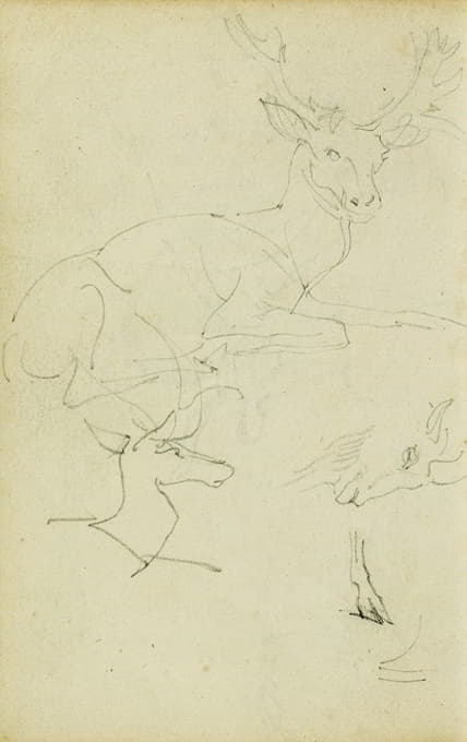 Théodore Géricault - Studies of a seated stag, a fawn, a goat head