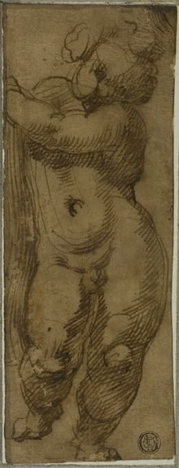 Bartolomeo Passarotti - Standing Putto Seen from the Front; Study for the Virgin in Glory with Saints Petronius, Dominic, and Peter Martyr