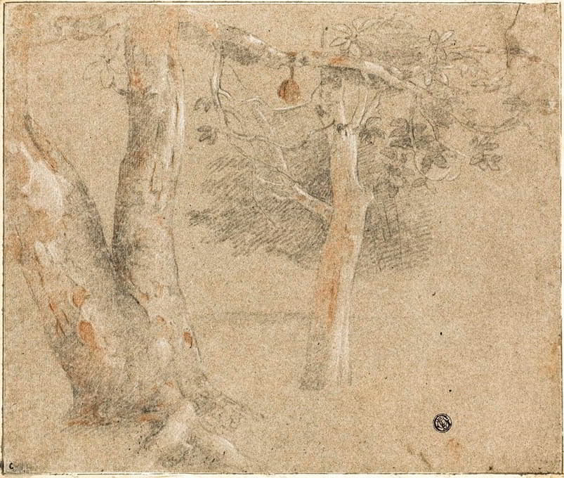 Cristofano Allori - Sketches of Trees
