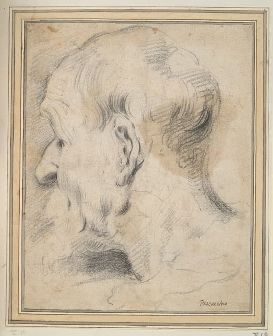 Camillo Procaccini - Head of an Old Man in Profile