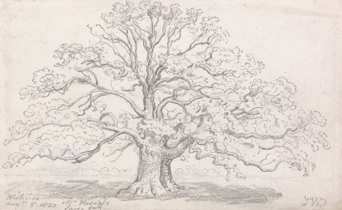 霍华德先生的大橡树，1820年8月5日