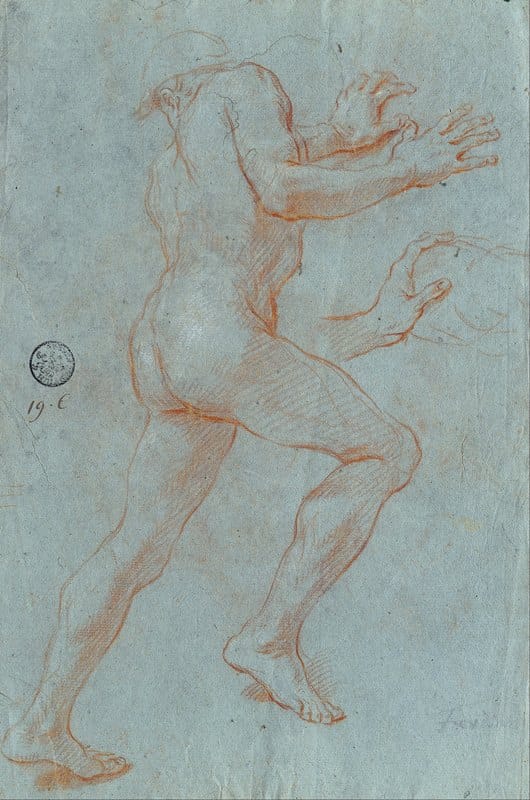 Giovanni Antonio Grecolini - Study of a Male Nude