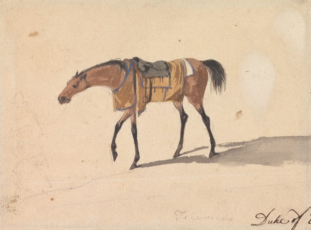 Peter Tillemans - A Saddle Horse of the Duke of Devonshire