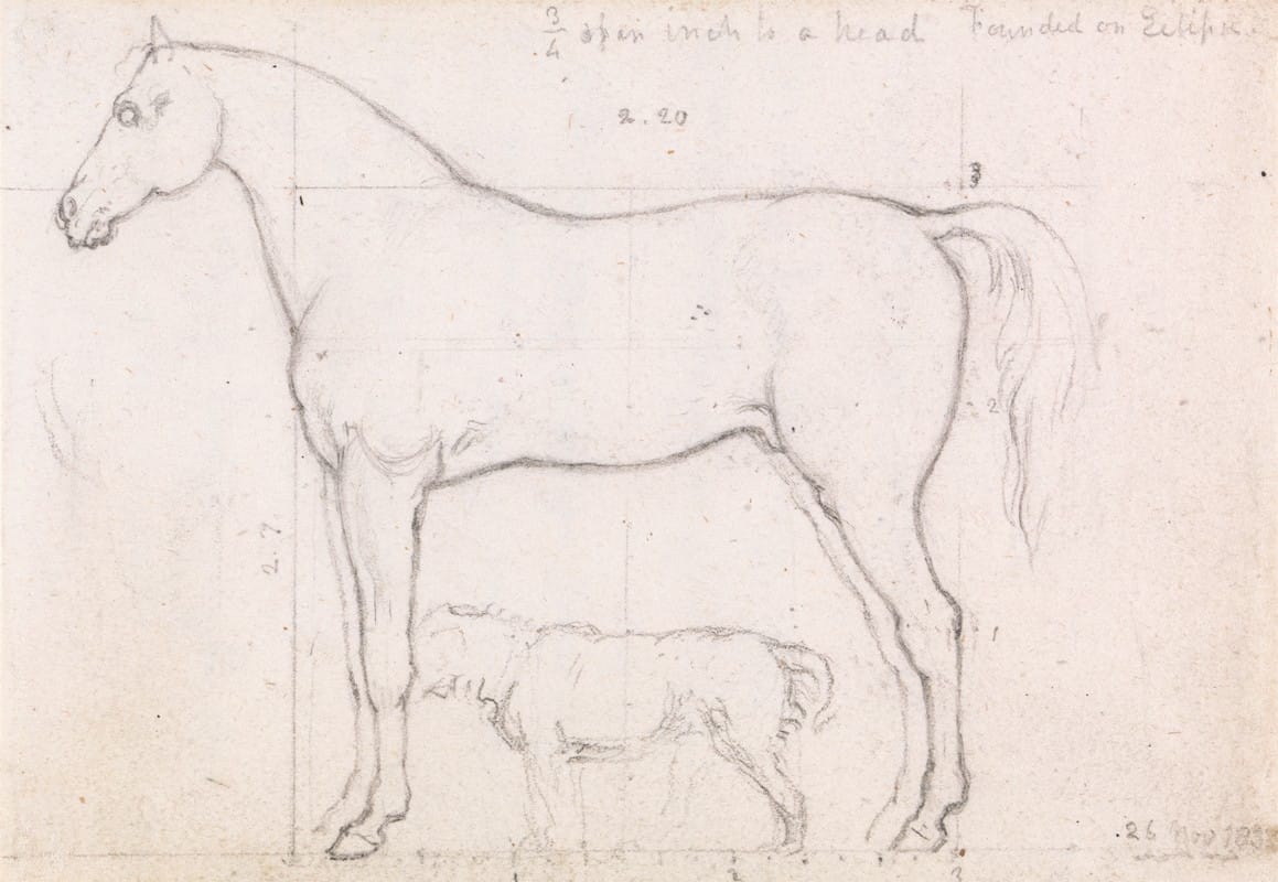 William Mulready - Anatomical Study of a Horse, Founded on `Eclipse’, Nov. 26, 1832