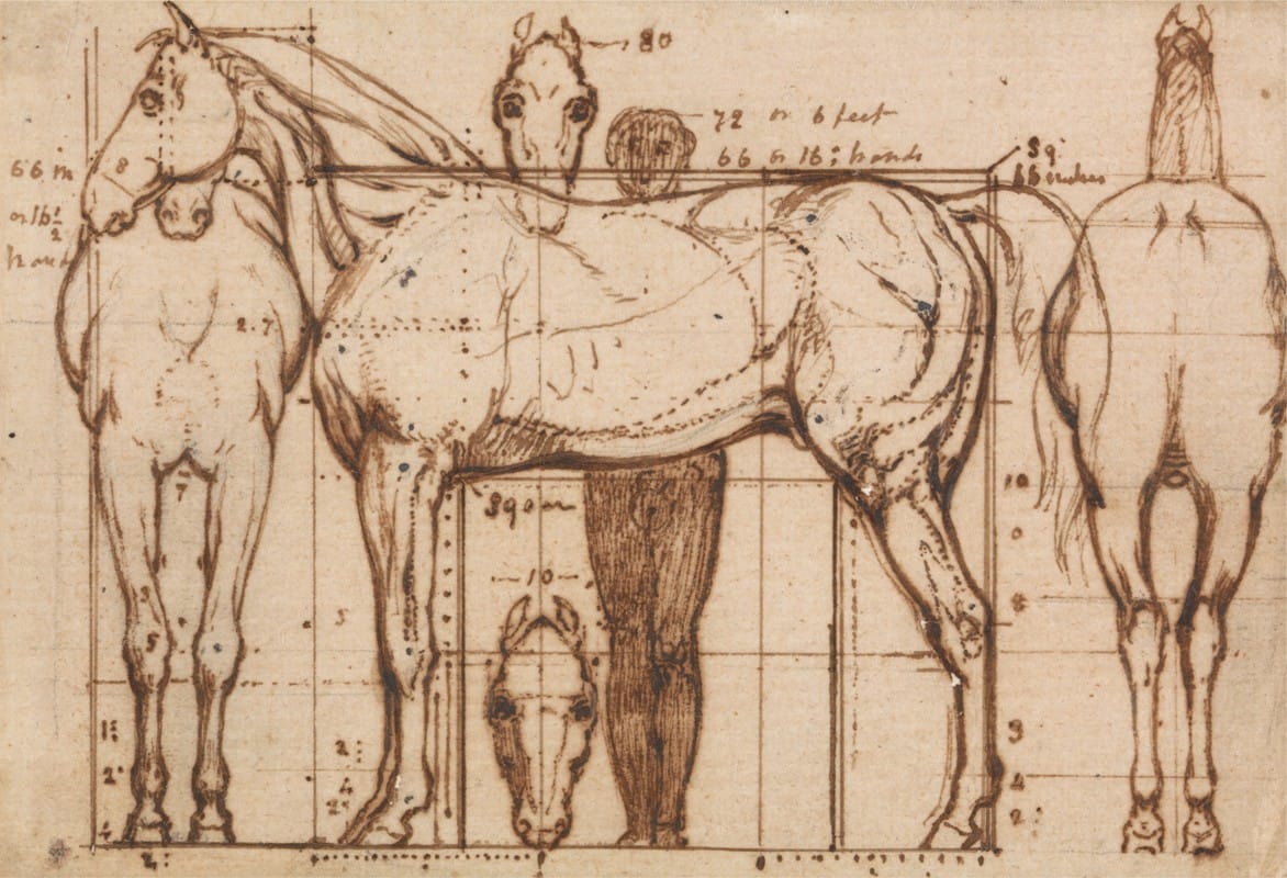 William Mulready - Anatomical Study of a Horse