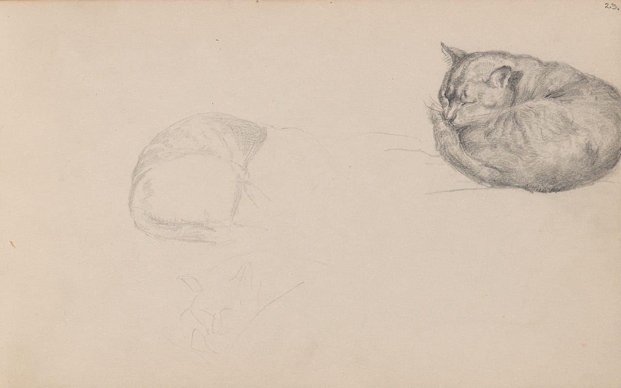 Adolph Tidemand - Studies of a sleeping cat