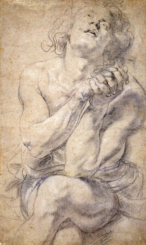 Peter Paul Rubens - Seated Male Youth (Study for Daniel)